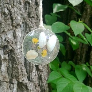 Unique seashell necklace